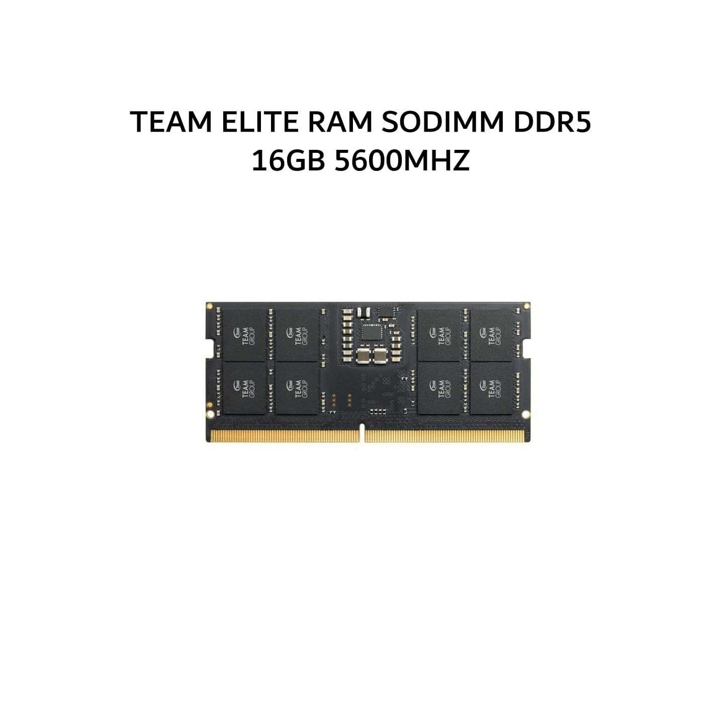 TEAM ELITE RAM SODIMM DDR5 16GB 5600MHZ