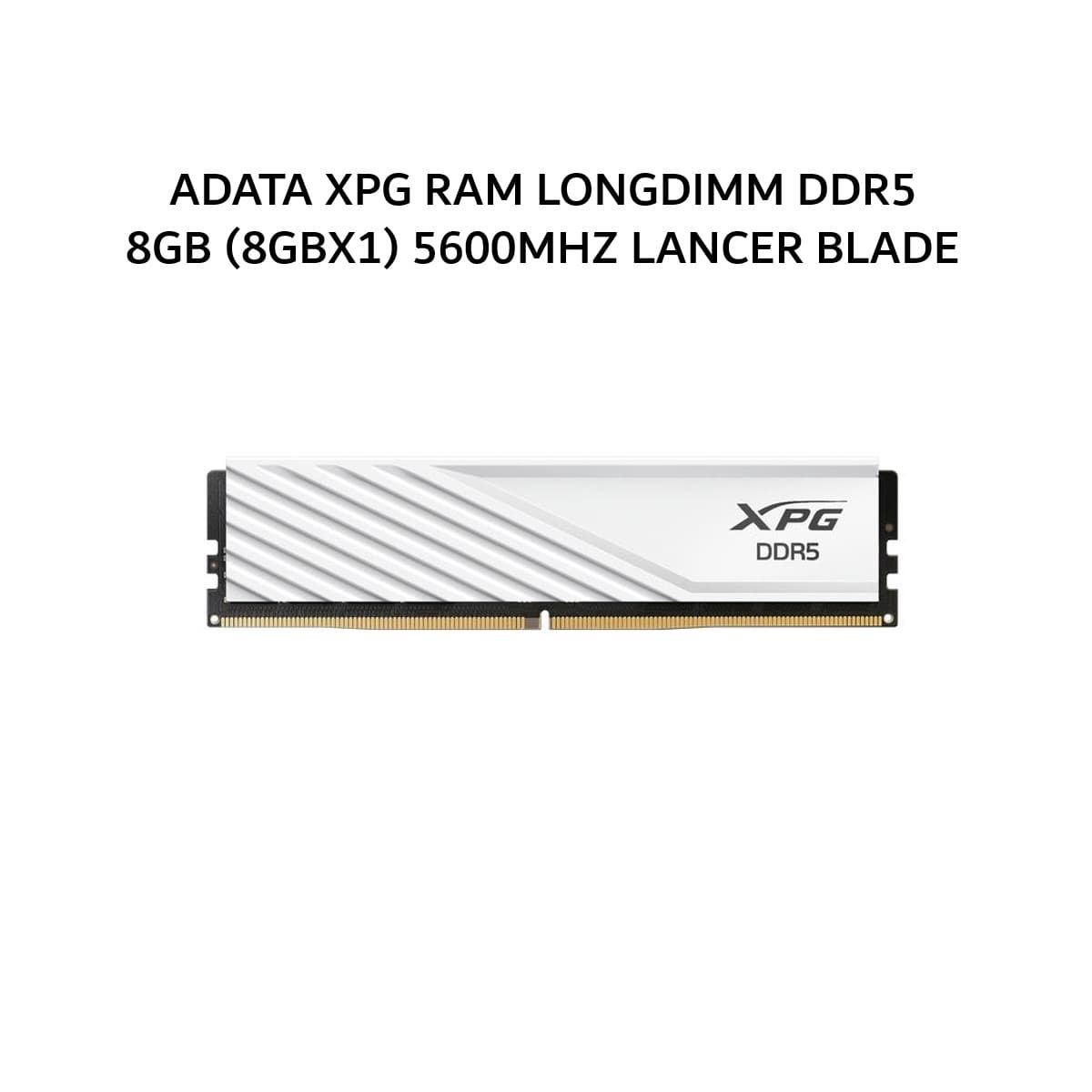 ADATA XPG RAM LONGDIMM DDR5 8GB (8GBX1) 5600MHZ LANCER BLADE WHITE