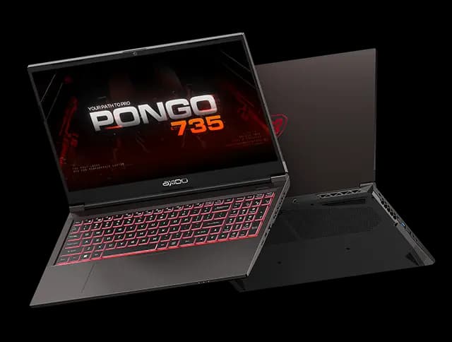 AXIOO PONGO 735 I7 13620H RTX3050 6GB/ 16GB 512GB DOS 15.6FHD 144HZ IPS RGB 3Y GRY