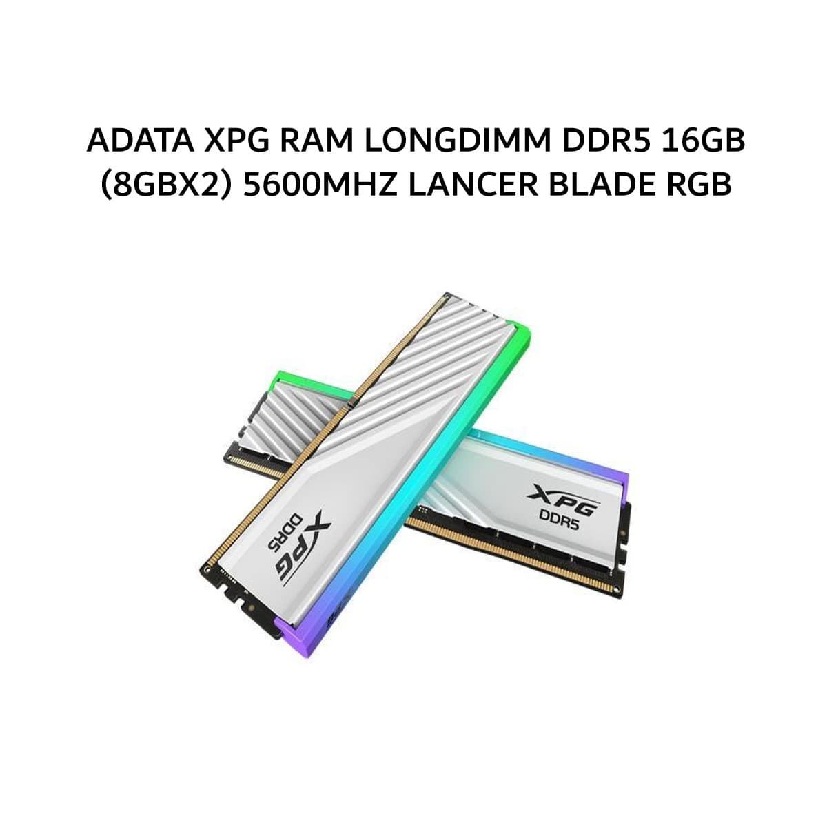 ADATA XPG RAM LONGDIMM DDR5 16GB (8GBX2) 5600MHZ LANCER BLADE RGB WHITE