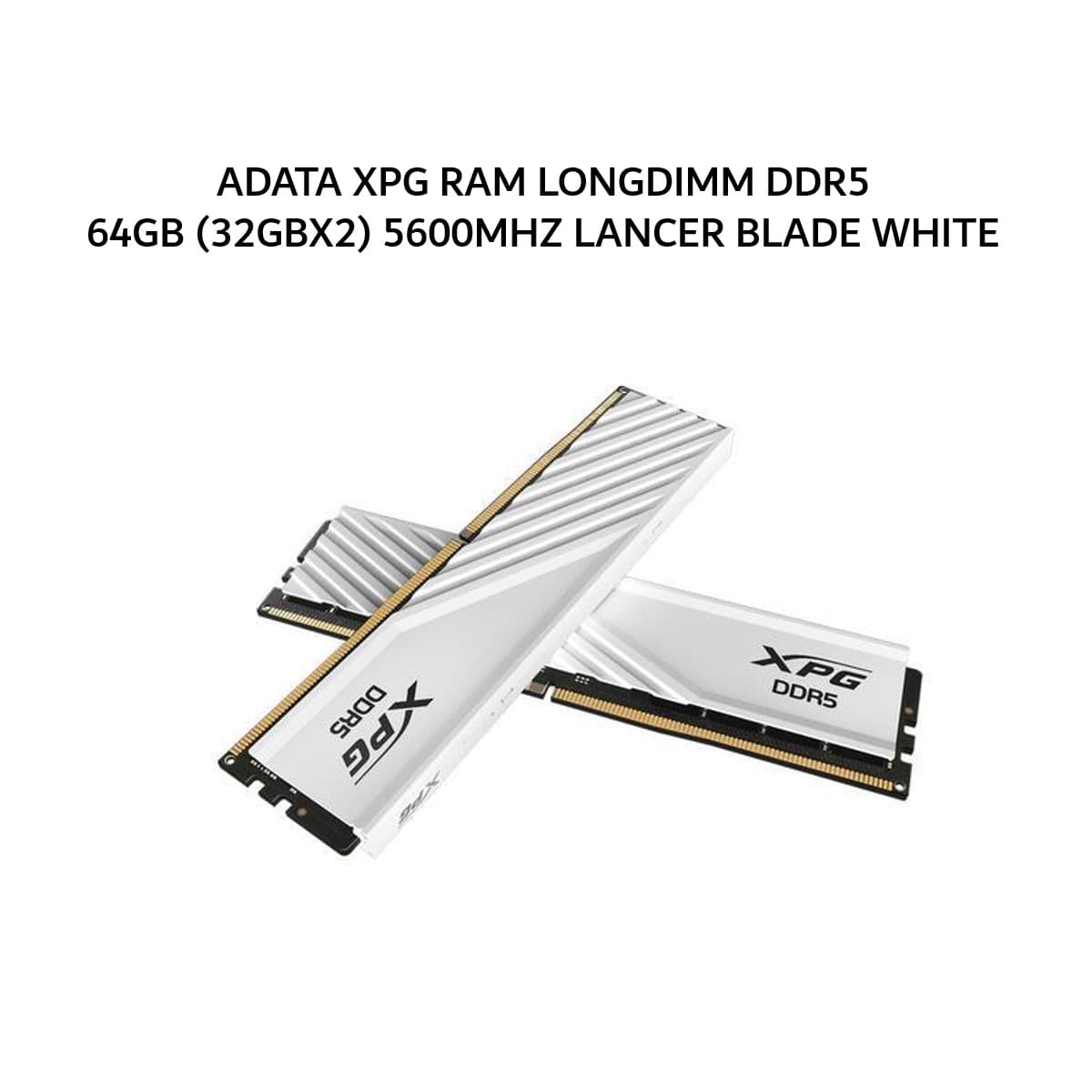 ADATA XPG RAM LONGDIMM DDR5 64GB (32GBX2) 5600MHZ LANCER BLADE WHITE