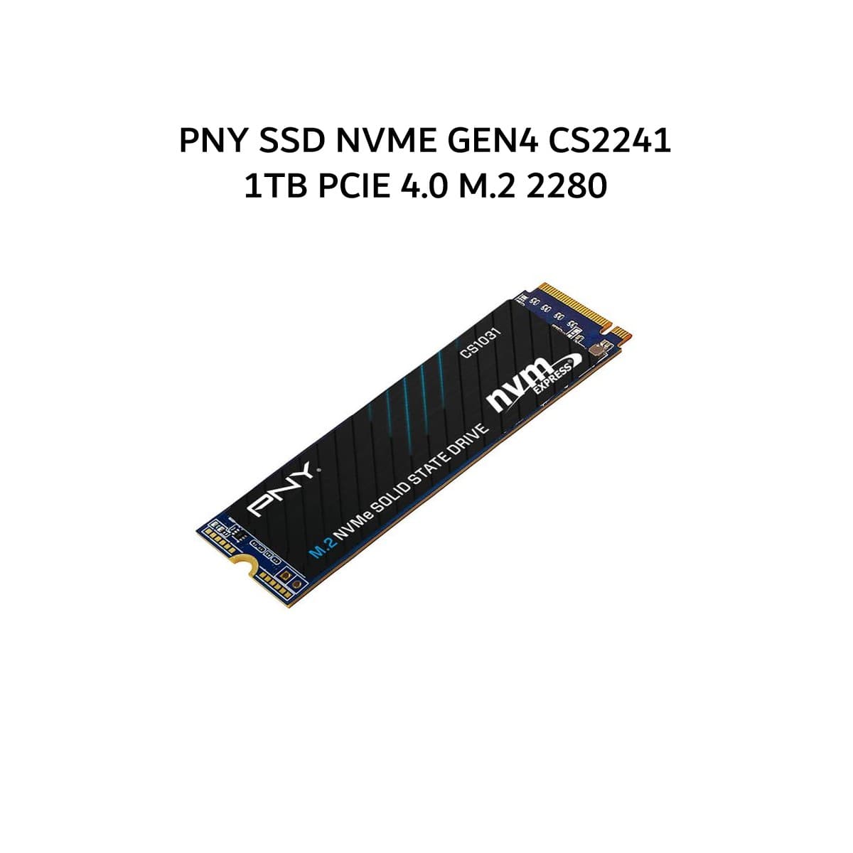 PNY SSD NVME GEN4 CS2241 1TB PCIE 4.0 M.2 2280 3X - UP TO 5100MB/S