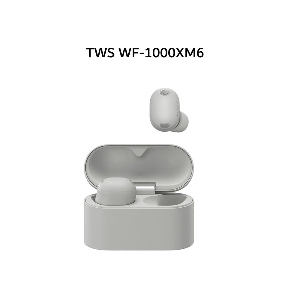 SONY WF-1000XM6 / WF 1000XM6 TWS ANC LDAC - SILVER